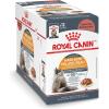 Royal Canin Feline Care Nutrition Hair & Skin Care Adult Loaf in Sauce Cat Food, 5.1 oz (Pack of 24)(3 Ounce (Pack of 12))
