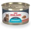 Royal Canin Feline Care Nutrition Urinary Care Adult Thin Slices in Gravy Cat Food, 3 oz (Pack of 12)(0.21 Ounce (Pack of 24))