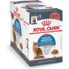 Royal Canin Feline Care Nutrition Weight Care Adult Loaf in Sauce Cat Food, 3 oz (Pack of 24)(1 Count (Pack of 12))