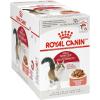 Royal Canin Feline Health Nutrition Adult Instinctive Adult Loaf in Sauce Cat Food, 3 oz (Pack of 24)(3 Ounce (Pack of 12))