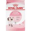 Royal Canin Feline Health Nutrition Kitten Dry Cat Food, 7 lb Bag(3 Pound (Pack of 1))