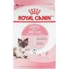 Royal Canin Feline Health Nutrition Mother & Babycat Dry Cat Food, 3 lb Bag(6 Pound (Pack of 1))