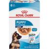 Royal Canin Size Health Nutrition Large Puppy Thin Slices in Gravy Dog Food, 13 oz (Pack of 6)(13 Ounce (Pack of 6))