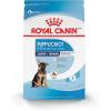 Royal Canin Size Health Nutrition Large Puppy Thin Slices in Gravy Dog Food, 13 oz (Pack of 6)(4 Pound (Pack of 1))