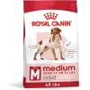 Royal Canin Size Health Nutrition Medium Adult Dry Dog Food, 4 lb Bag(40 Pound (Pack of 1))