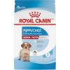 Royal Canin Size Health Nutrition Medium Puppy Thin Slices in Gravy Dog Food, 13 oz (Pack of 12)(30 Pound (Pack of 1))