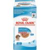 Royal Canin Size Health Nutrition Medium Puppy Thin Slices in Gravy Dog Food, 13 oz (Pack of 12)(4.9 Ounce (Pack of 10))