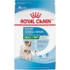 Royal Canin Size Health Nutrition Starter Mother & Babydog Mousse in Sauce Dog Food, 5.1 oz (Pack of 24)(2.5 Pound (Pack of 1))