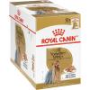 Royal Canin Yorkshire Terrier Adult Breed Specific Wet Dog Food, 3 oz can (4-pack)(3 Ounce (Pack of 12))