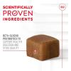 Royal Canin Puppy Supplement Soft Chews for Immunity & Digestion, 60 Count(Adult: Digestion)