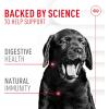 Royal Canin Puppy Supplement Soft Chews for Immunity & Digestion, 60 Count(Puppy: Immunity & Digestion)