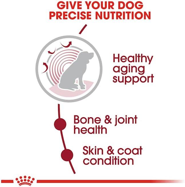 imageRoyal Canin Medium Aging 10 Senior Dry Dog Food 30 lb bag30 Pound Pack of 1