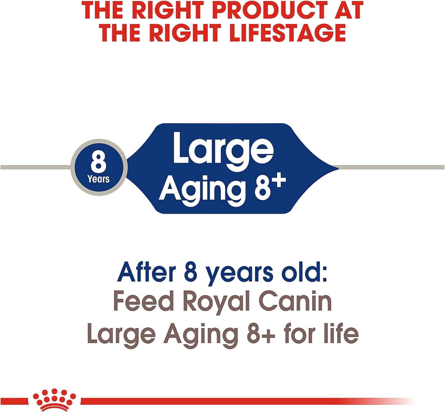 imageRoyal Canin Size Health Nutrition Large Aging 8 Senior Dry Dog Food 30 lb Bag