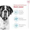 Royal Canin Size Health Nutrition Giant Junior Puppy Dry Dog Food, 30 lb Bag
