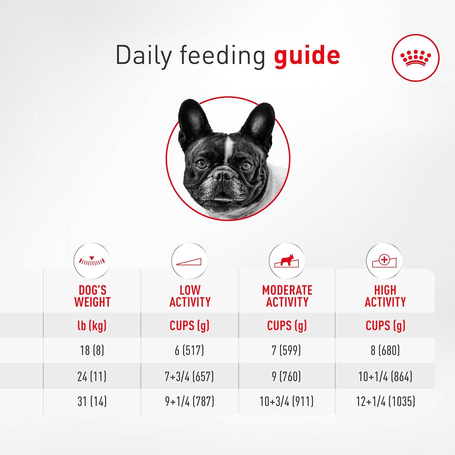 image:imageRoyal Canin Breed Health Nutrition French Bulldog Wet Dog Food for Adult Dogs Loaf Wet Food for French Bulldogs 12 Months Supports Digestive Health and Bone amp Joint Health Multipack 6 x 3 oz cans113 Pound Pack of 1