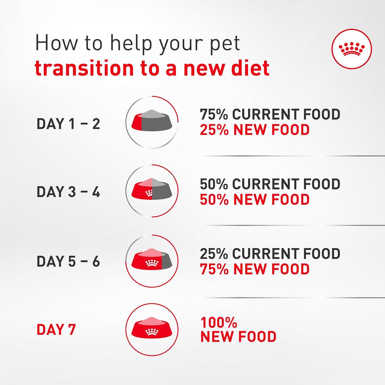 image:imageRoyal Canin Breed Health Nutrition French Bulldog Wet Dog Food for Adult Dogs Loaf Wet Food for French Bulldogs 12 Months Supports Digestive Health and Bone amp Joint Health Multipack 6 x 3 oz cans3 Ounce Pack of 24