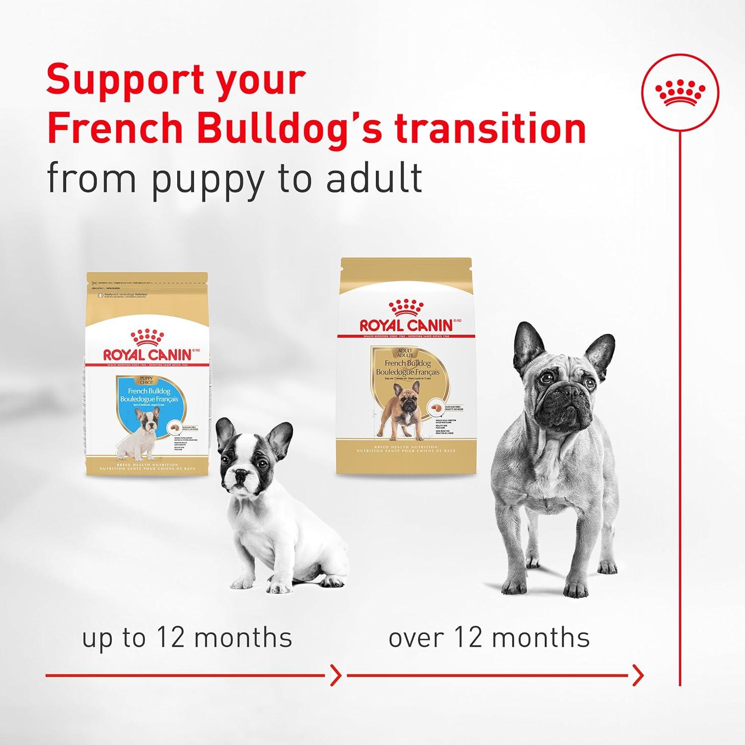 image:imageRoyal Canin Breed Health Nutrition French Bulldog Wet Dog Food for Adult Dogs Loaf Wet Food for French Bulldogs 12 Months Supports Digestive Health and Bone amp Joint Health Multipack 6 x 3 oz cans113 Pound Pack of 1