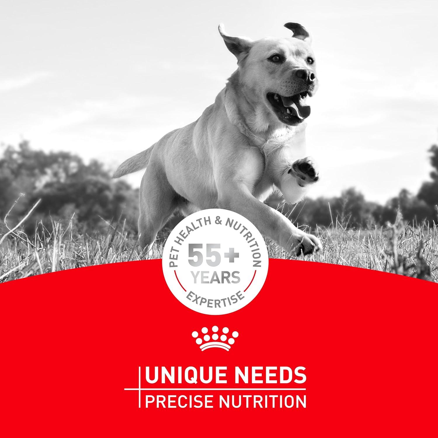 image:imageRoyal Canin Breed Health Nutrition French Bulldog Wet Dog Food for Adult Dogs Loaf Wet Food for French Bulldogs 12 Months Supports Digestive Health and Bone amp Joint Health Multipack 6 x 3 oz cans113 Pound Pack of 1