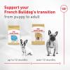 Royal Canin Breed Health Nutrition French Bulldog Wet Dog Food for Adult Dogs, Loaf Wet Food for French Bulldogs 12 Months+, Supports Digestive Health and Bone & Joint Health, Multipack 6 x 3 oz cans(3 Ounce (Pack of 24))