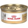 Royal Canin Breed Health Nutrition French Bulldog Wet Dog Food for Adult Dogs, Loaf Wet Food for French Bulldogs 12 Months+, Supports Digestive Health and Bone & Joint Health, Multipack 6 x 3 oz cans(3 Ounce (Pack of 24))