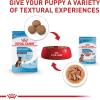 Royal Canin Size Health Nutrition Large Puppy Chunks in Gravy Wet Dog Food, 4.9 oz pouch (10-pack)