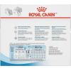 Royal Canin Size Health Nutrition Large Puppy Chunks in Gravy Wet Dog Food, 4.9 oz pouch (10-pack)