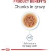 Royal Canin Size Health Nutrition Small Puppy Chunks in Gravy Wet Dog Food, 3 oz pouch (12-count)