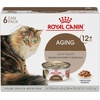 Royal Canin Feline Health Nutrition Aging 11+ Wet Cat Food for Seniors, Thin Slices in Gravy for Cats Over 11 Years, Supports Optimal Health & Vitality, 3 oz can, case of 12(3 Ounce (Pack of 6))